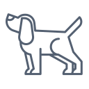 dog icon